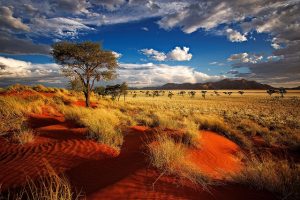 Республика Намибия — молодое государство и красивая страна