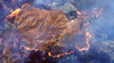 Самый смертоносный пожар в Калифорнии - как он выглядит на спутниковых снимках