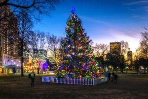 Каждый год Новая Шотландия посылает Бостону подарок — новогодние ёлки