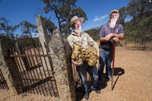 Самый большой золотой самородок был найден в Австралии