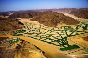 Сельскохозяйственные проекты в пустыне