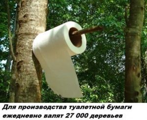 Для производства туалетной бумаги необходимо 27000 деревьев ежедневно