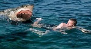 Невероятный бой между человеком и акулой