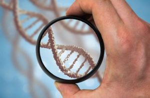Все, что нужно знать о ДНК-тесте