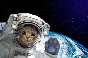 Как перебросить кота через межзвездное пространство