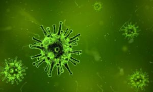 Учёным впервые удалось убить вирус спящего герпеса в клетках человека