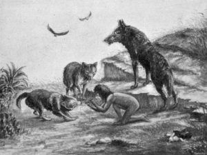 Ребенок среди волков — туркменский маугли